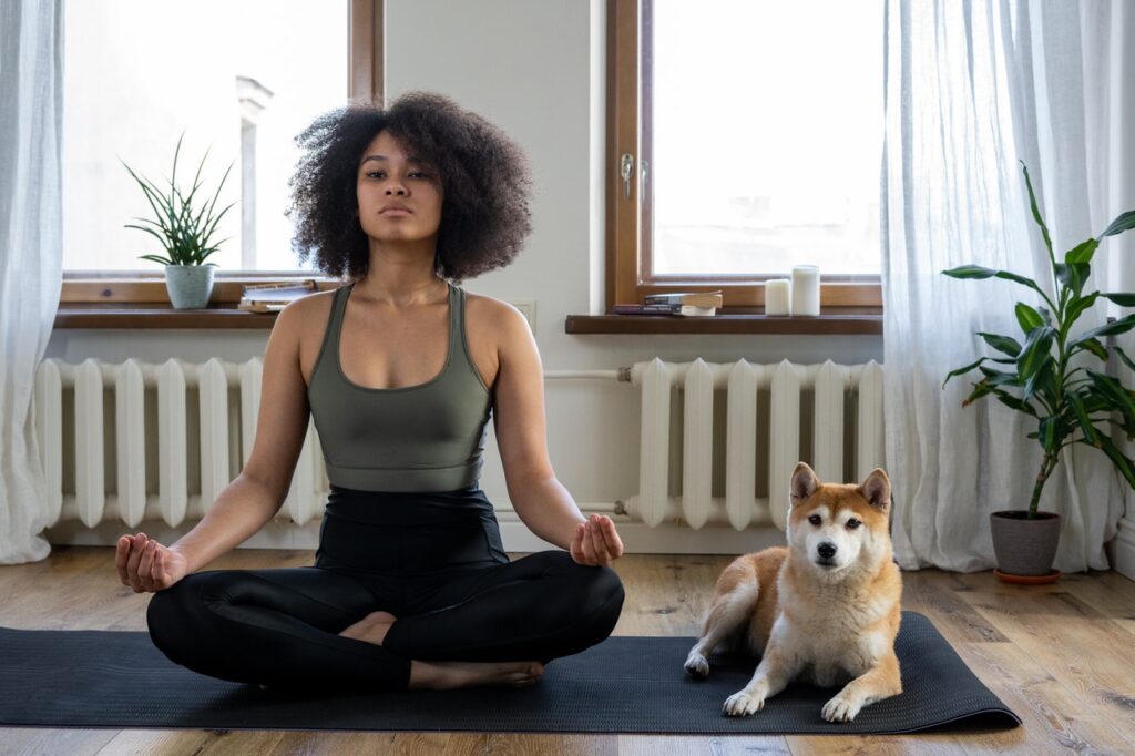 Mindfulness Meditation Or Hypnotherapy